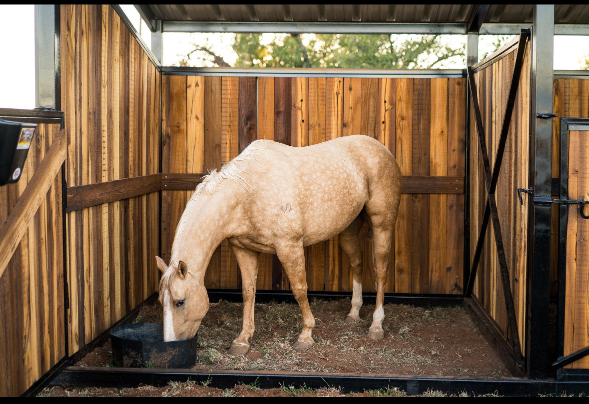 •The Sister Shed• Fully Customized Portable Horse Shed with Tack & Feed Room